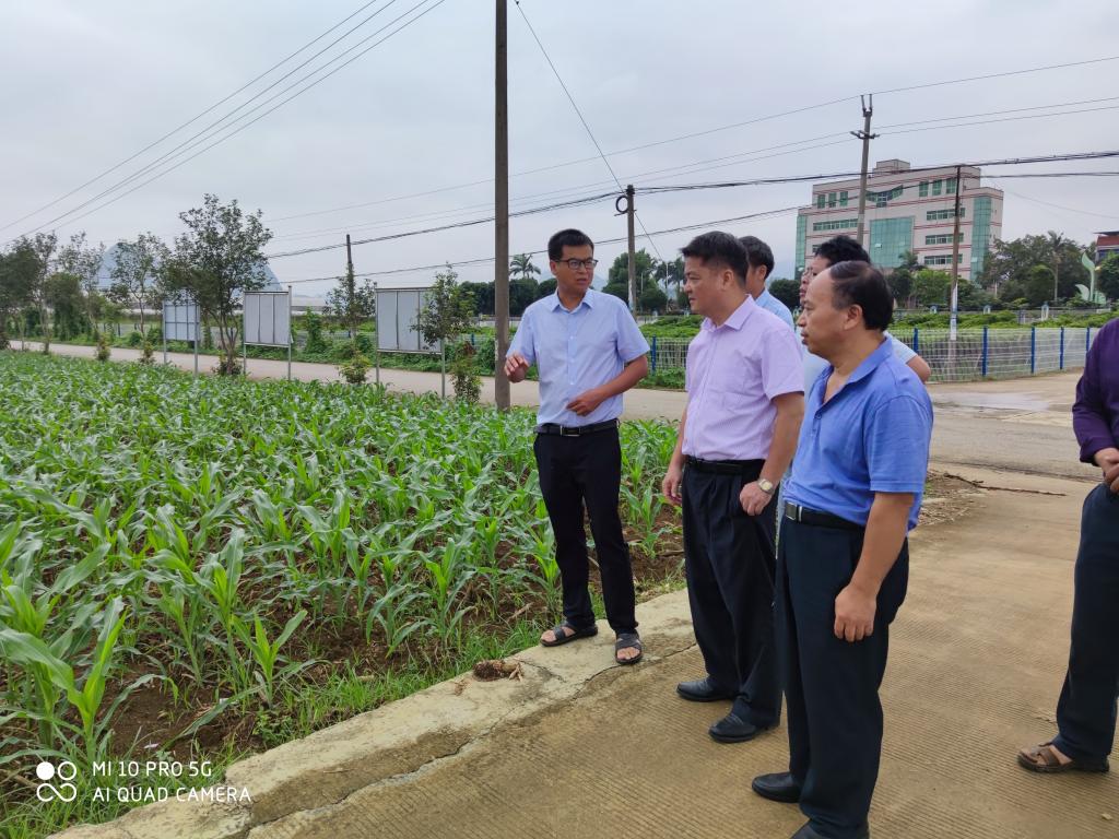 必赢3003no1线路检测中心